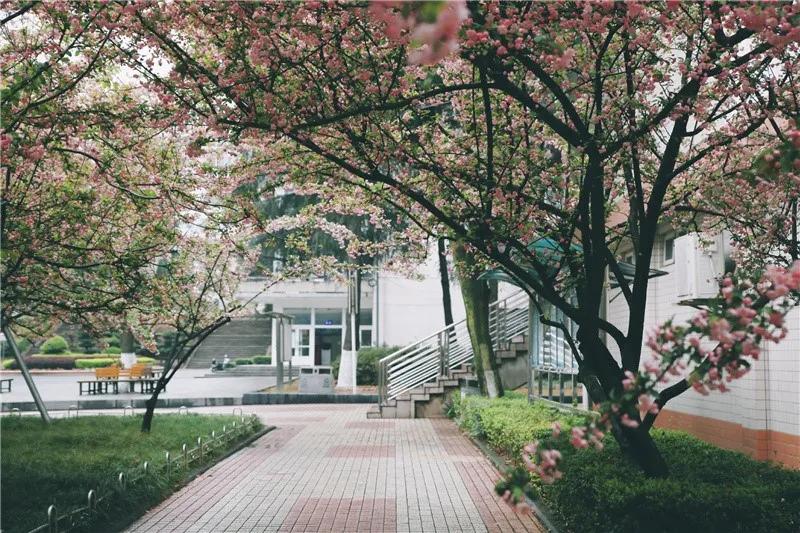 在校生当兵政审表去学校盖章,应征入伍政审表电子版在哪里