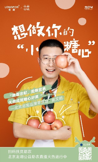 龙湖龙民节凝聚龙民心,龙湖龙民节公益