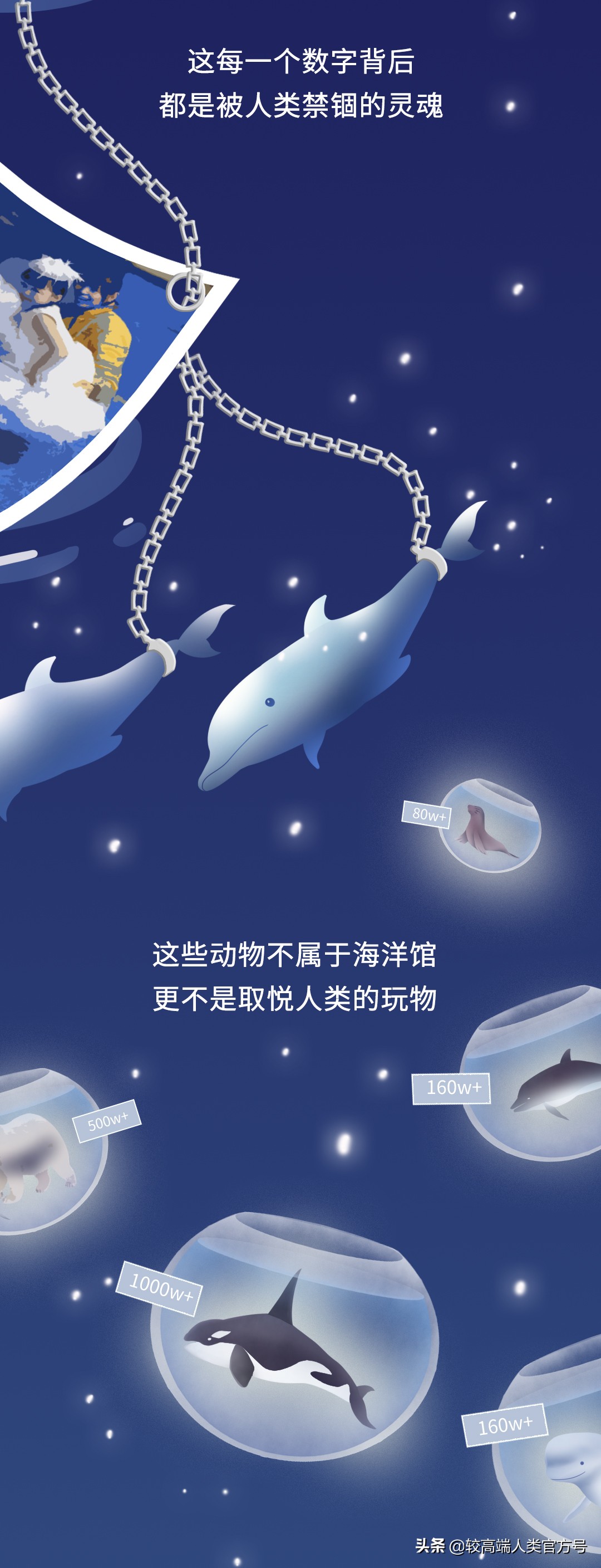 囚禁海豚,海豚表演有多残忍