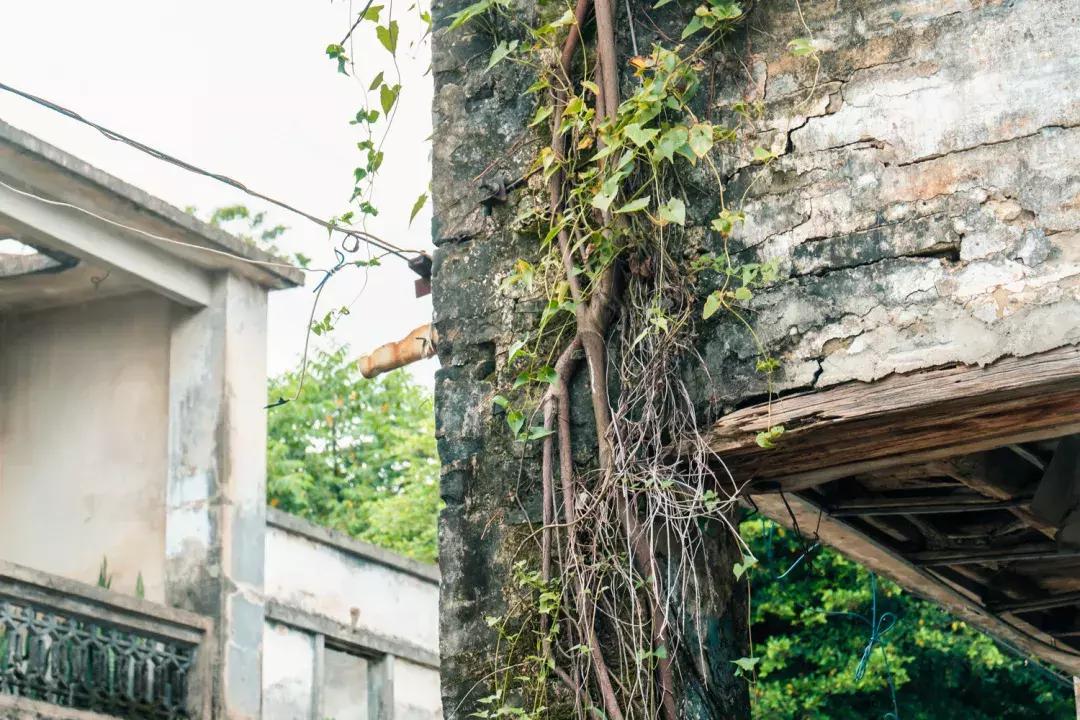 观澜到底有多强,观澜为什么消费很低