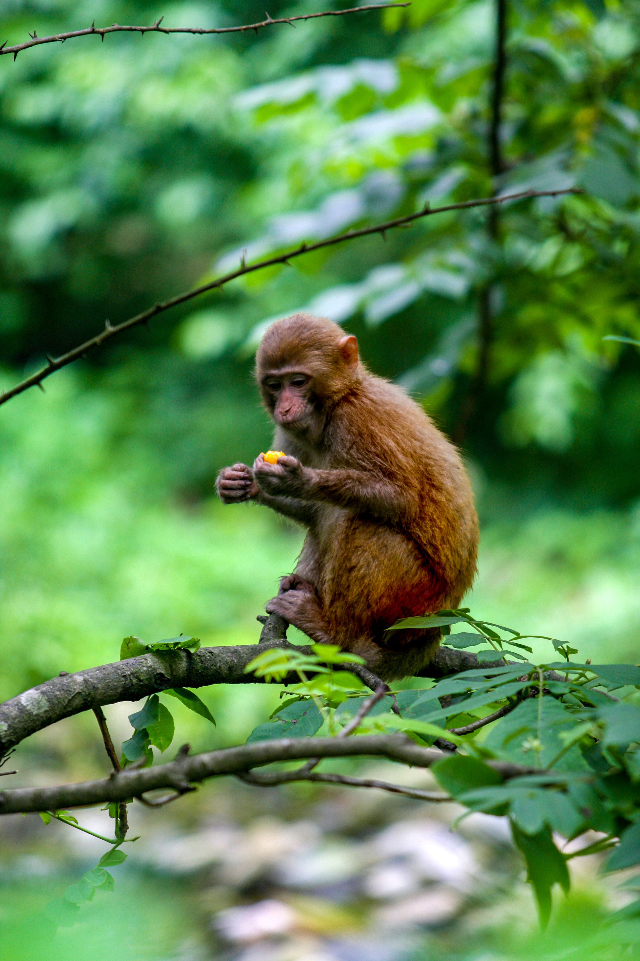 天堂纳木错完整版,天堂圣湖