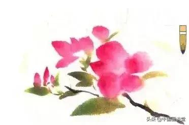 桃花国画画法,桃花的画法国画