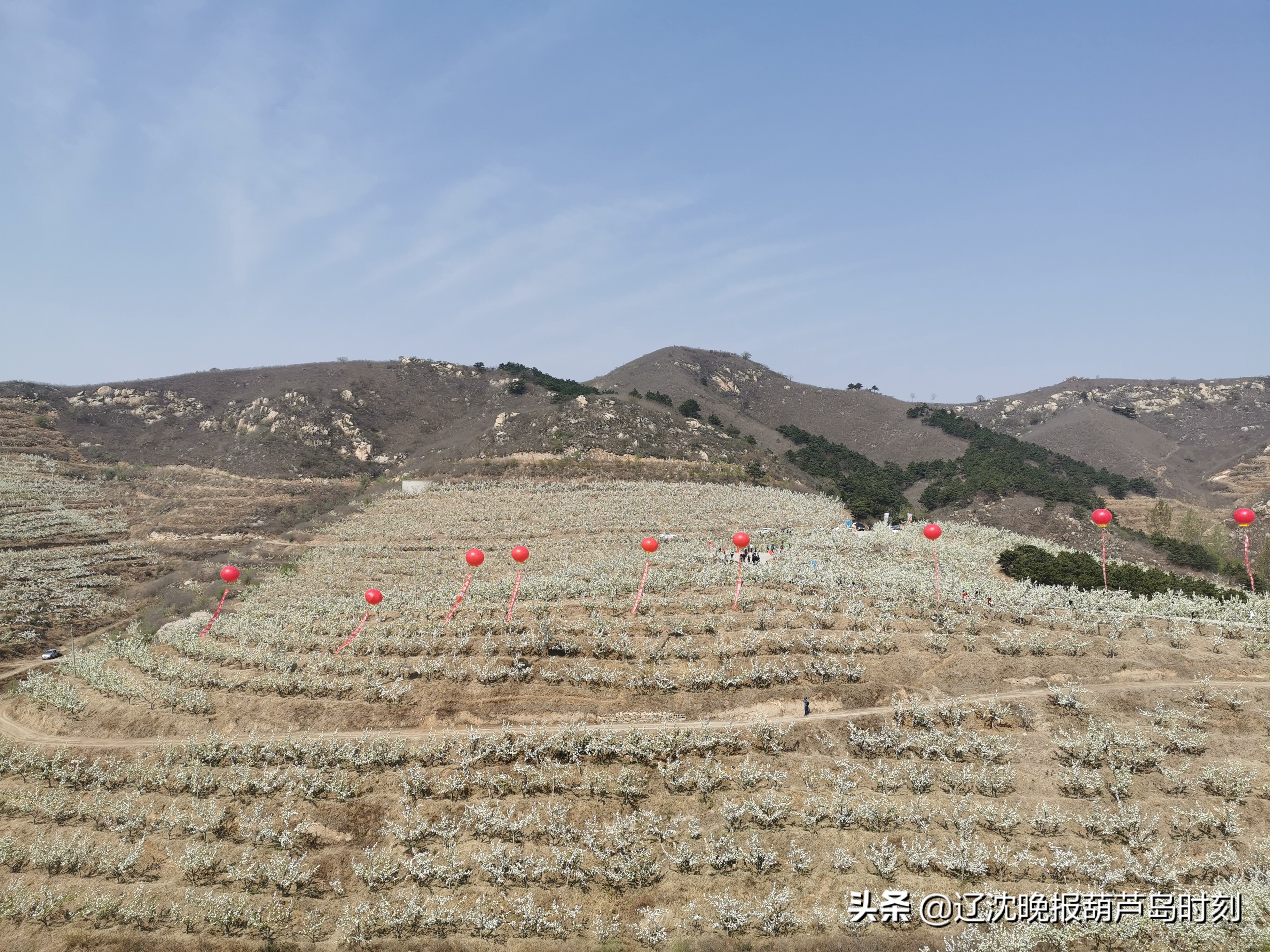 葫芦岛今日要闻,葫芦岛晚间新闻