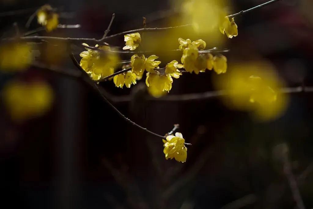 每周摄影作品展的第102期佳作欣赏,每周摄影作品展官网