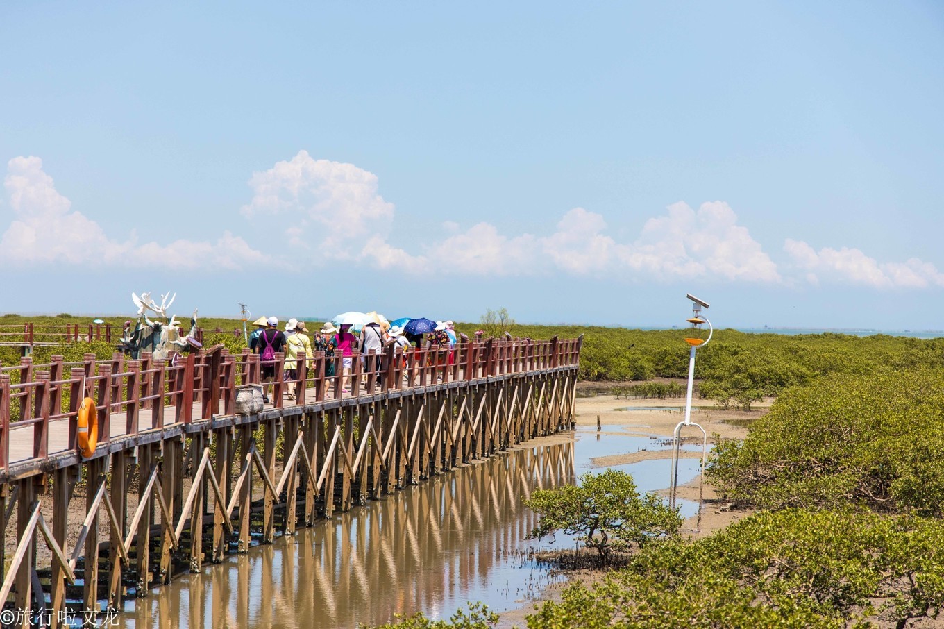 北海红树林公园门票68元,北海红树林景区门票价格