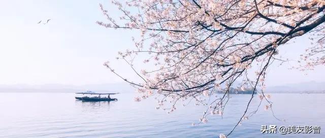 古代诗人有哪些关于诗的雅号,中国古代诗人雅号别称大全