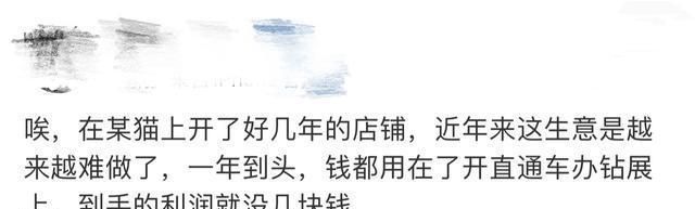 电商利润低要开直通车吗,做电商也需要开直通车吗