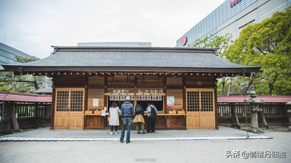皇家加勒比邮轮量子号新加坡出发,皇家加勒比海洋量子号邮轮之旅