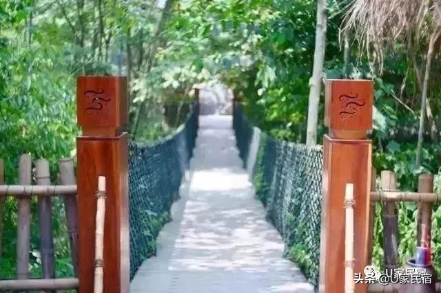 成都首家野奢帐篷酒店，高颜值避世野宿，帐篷听雨树屋观星