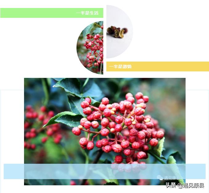 遇见康县丨遇见“万宝山”(一)