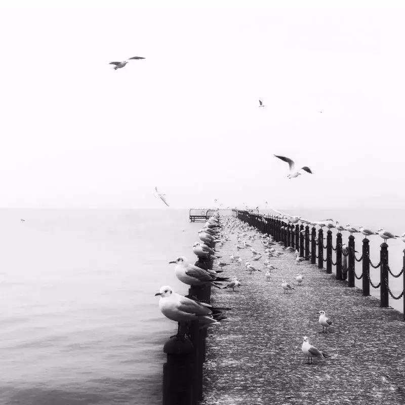 常用摄影构图方法,手机摄影构图