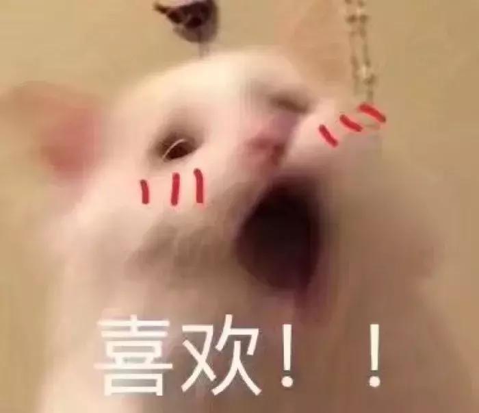 直男情人节送老婆礼物前十件排名,直男送的礼物从来没让人失望过