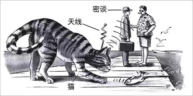 各国秘密间谍行动,各国间谍战有多凶险