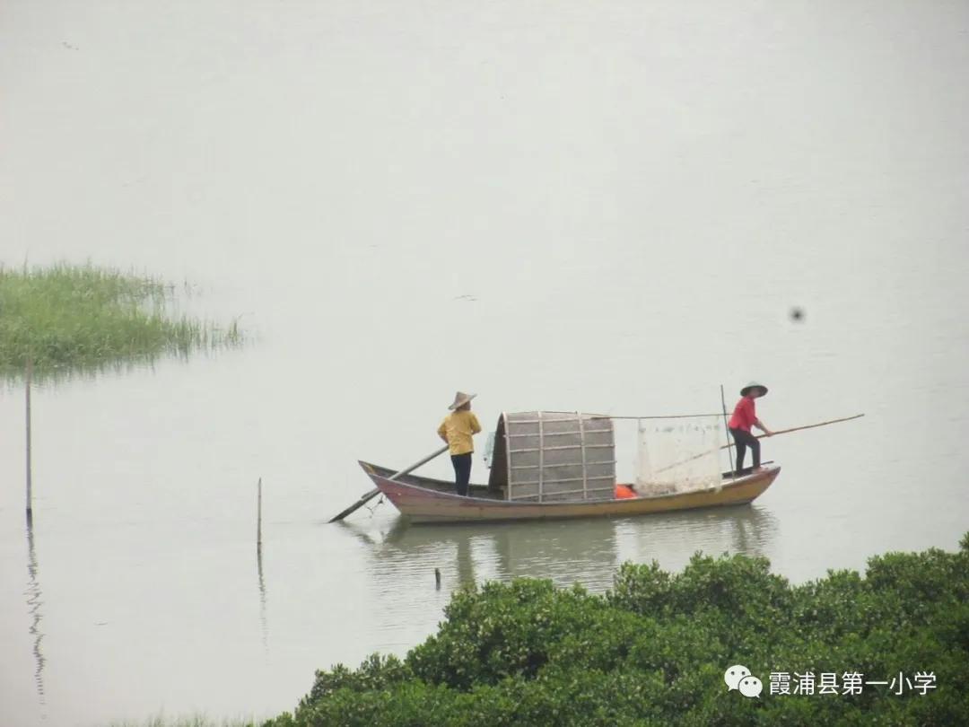 霞浦一中高一新生夏令营,霞浦县夏令营