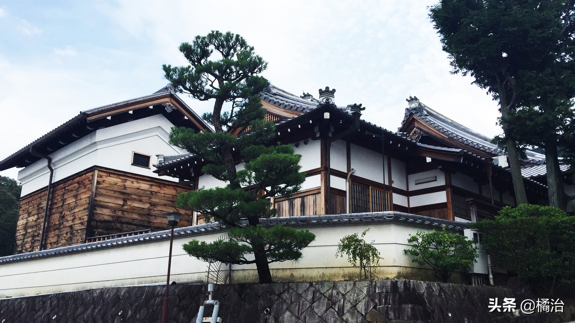 日本旅行必买帆布包中的爱马仕,日本值得买的旅行包