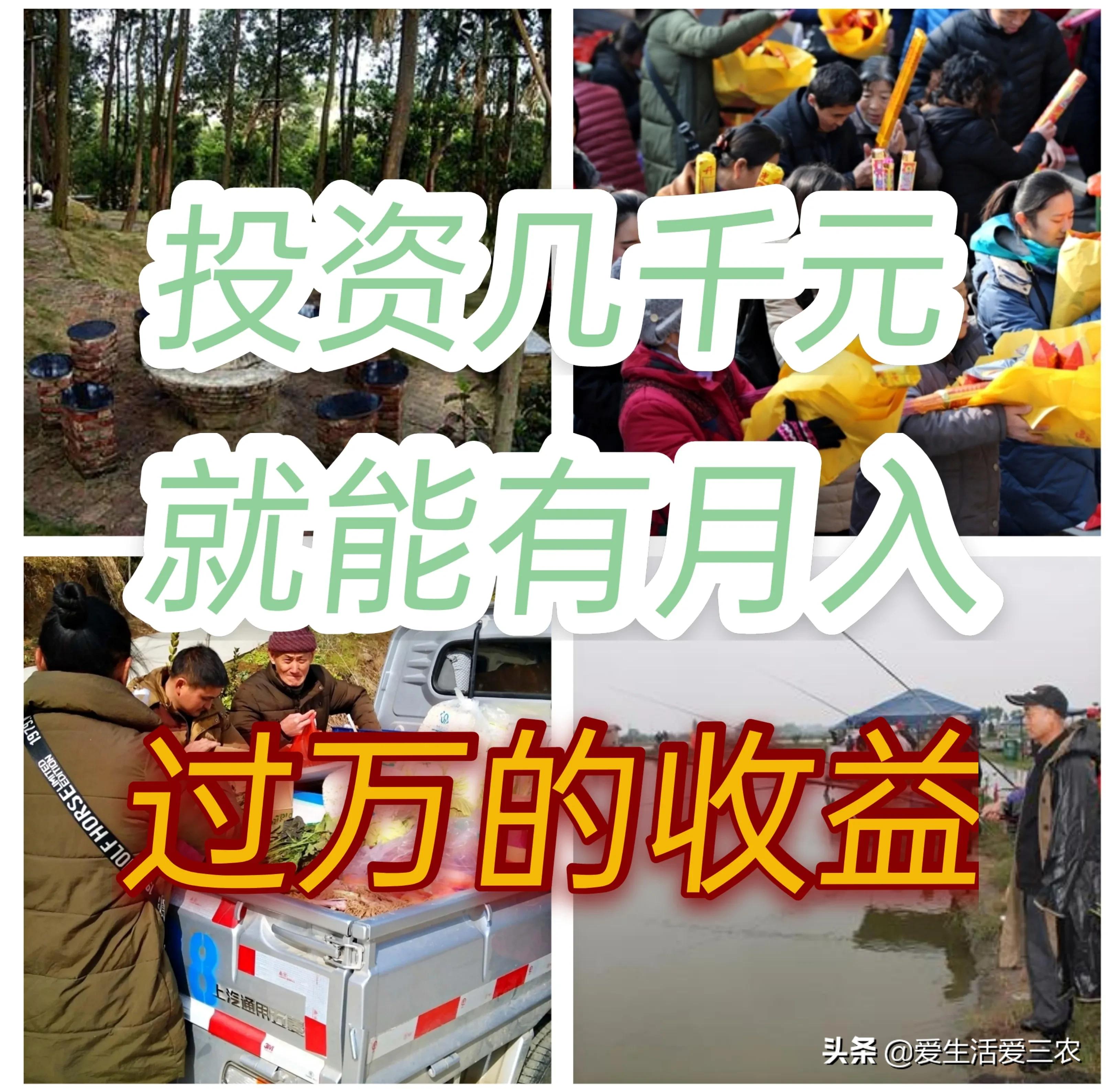 投资十几万到乡镇有什么好项目,投资千元的农村创业项目有哪些