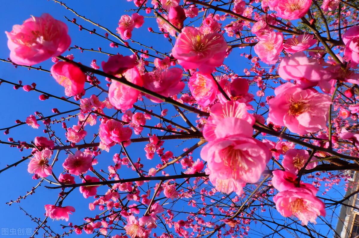 两性相处的深层沟通,两性深入沟通的技巧