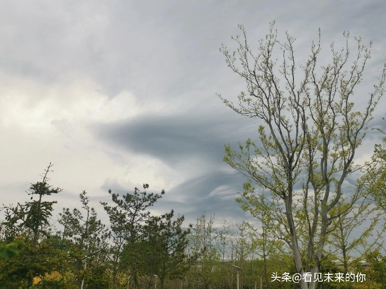 烟台开发区福莱山公园最新消息,烟台开发区福莱山公园喷泉时间