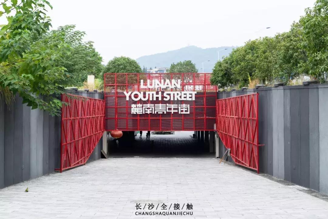 长沙最青春公交，串联6所大学的记忆