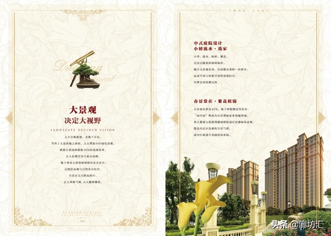 大城国际,大城县大城国际怎么样