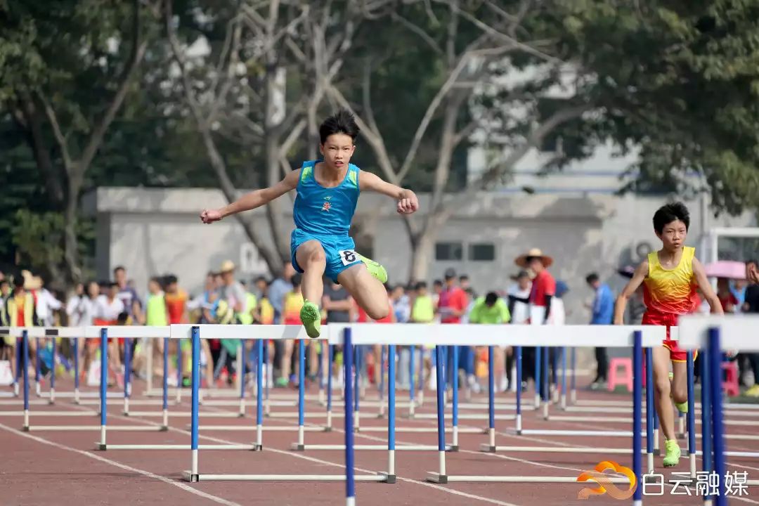 横栏小学校园田径运动会,2019白云区中小学生田径运动会