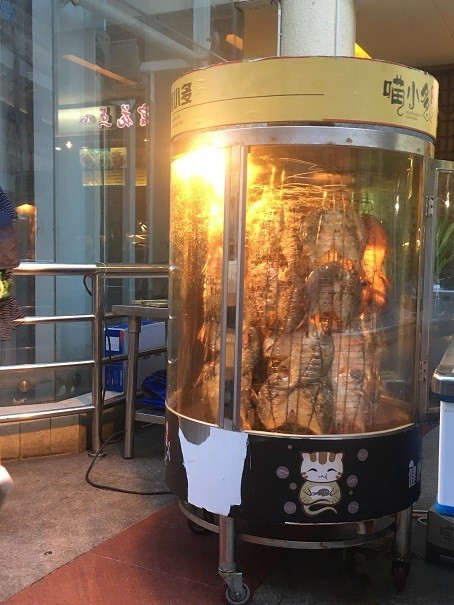 领略海口美丽风光，尝尽海口的各种美食