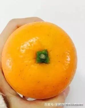 湖南麻阳长寿果冰糖橙又甜又香,麻阳冰糖橙特大果