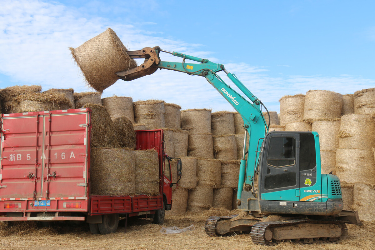 秸秆回收要怎么干最赚钱,小麦秸秆回收一年40万