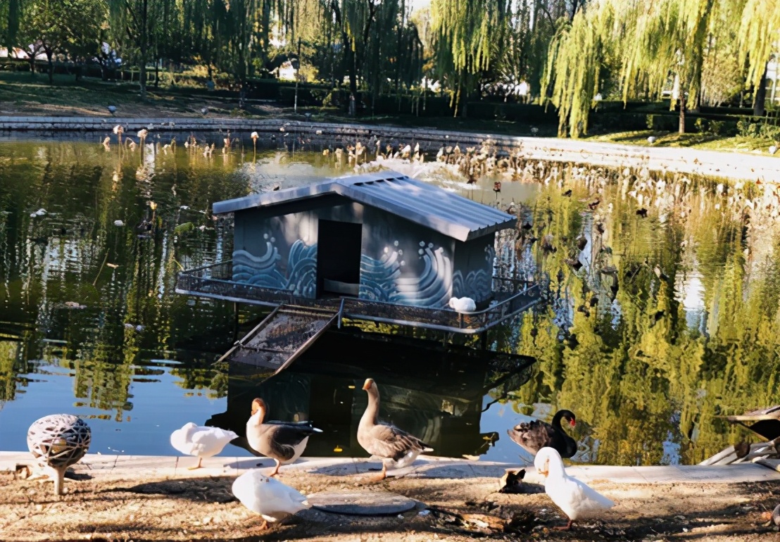 小升初之海淀六小强系列Ⅴ——皇家园林一零一中学