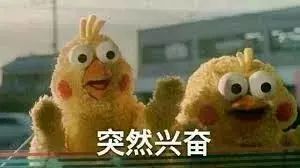 杨树林2019圣诞限定,2022年圣诞限定杨树林