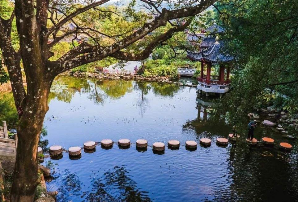 灵芝药浴,十几种药浴温泉