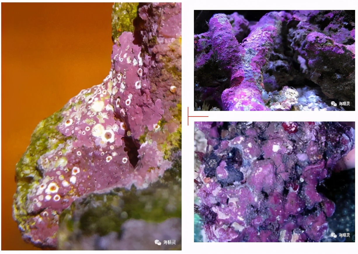 怎么才能从众人中脱颖而出,如何让自己从人群中脱颖而出