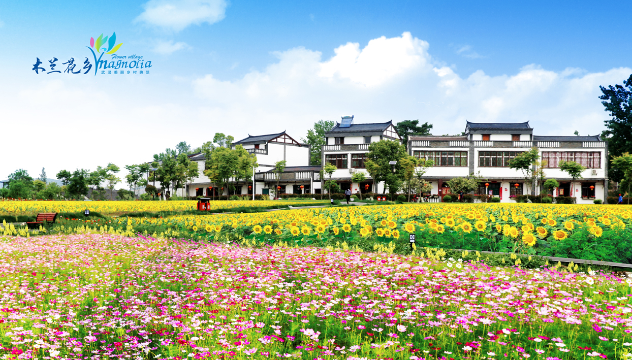 黄陂印象桃源民宿,黄陂区木兰花乡印象酒店