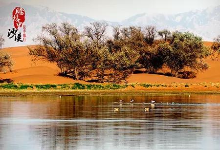 适合发展初期的公司团建,老板的团建hr的团建