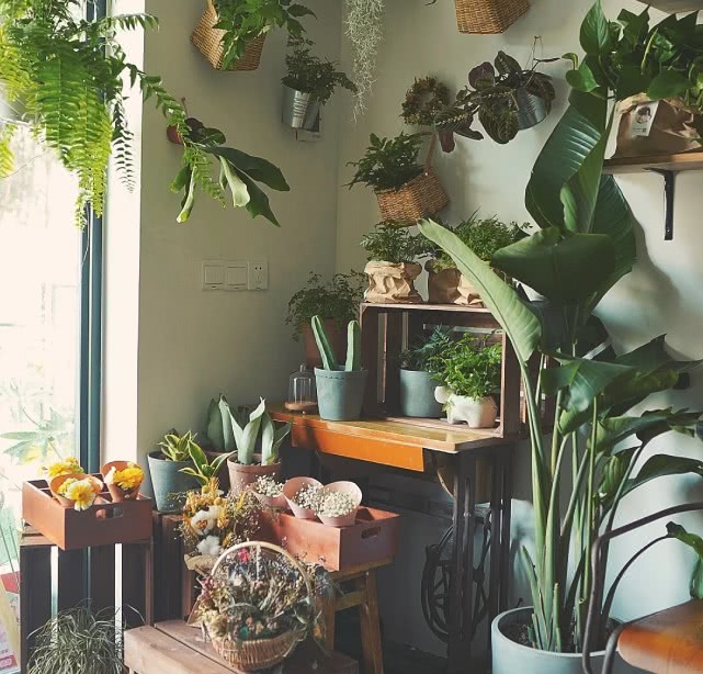 开花店一定要懂花艺吗,新开花店必备的花艺有哪些