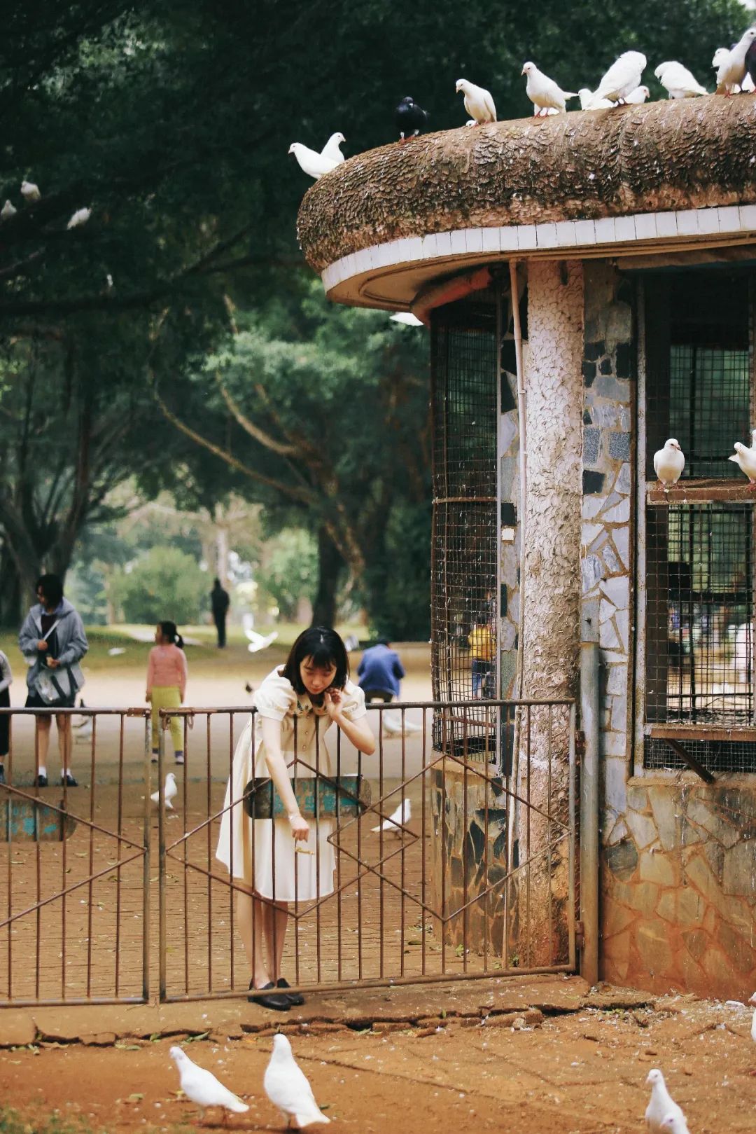 人气最高的女性写真,好看的女生写真推荐