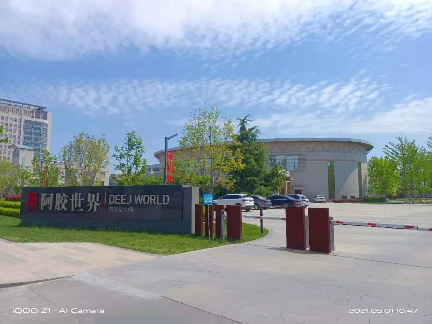 退休后侣行_山东（一）