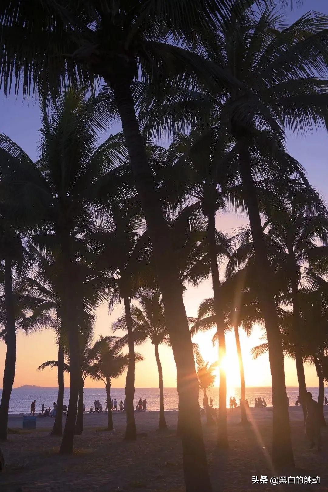 三亚必去的5大景点最新,三亚有哪些值得逛的地方