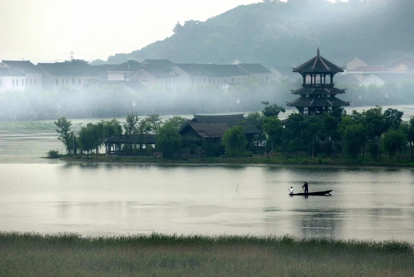 杭州灵隐寺千年古树,灵隐寺里面的树是啥树