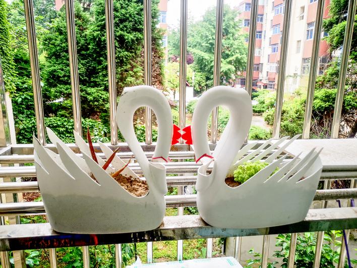 旧物洗衣液瓶子改造,废物利用洗衣液桶大变身