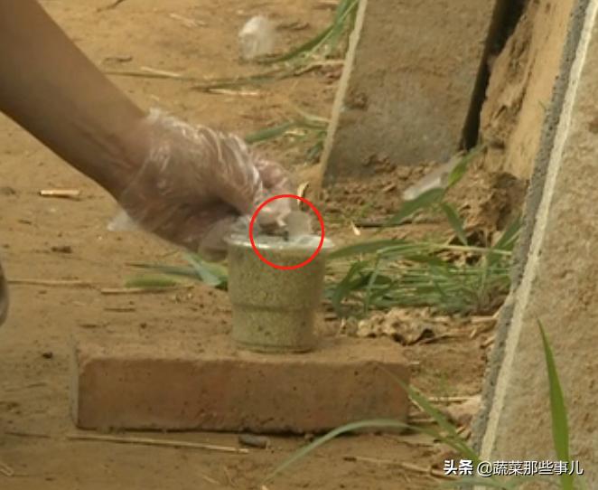 烟熏剂可以提高大棚里温度吗,大棚为什么要使用烟熏剂