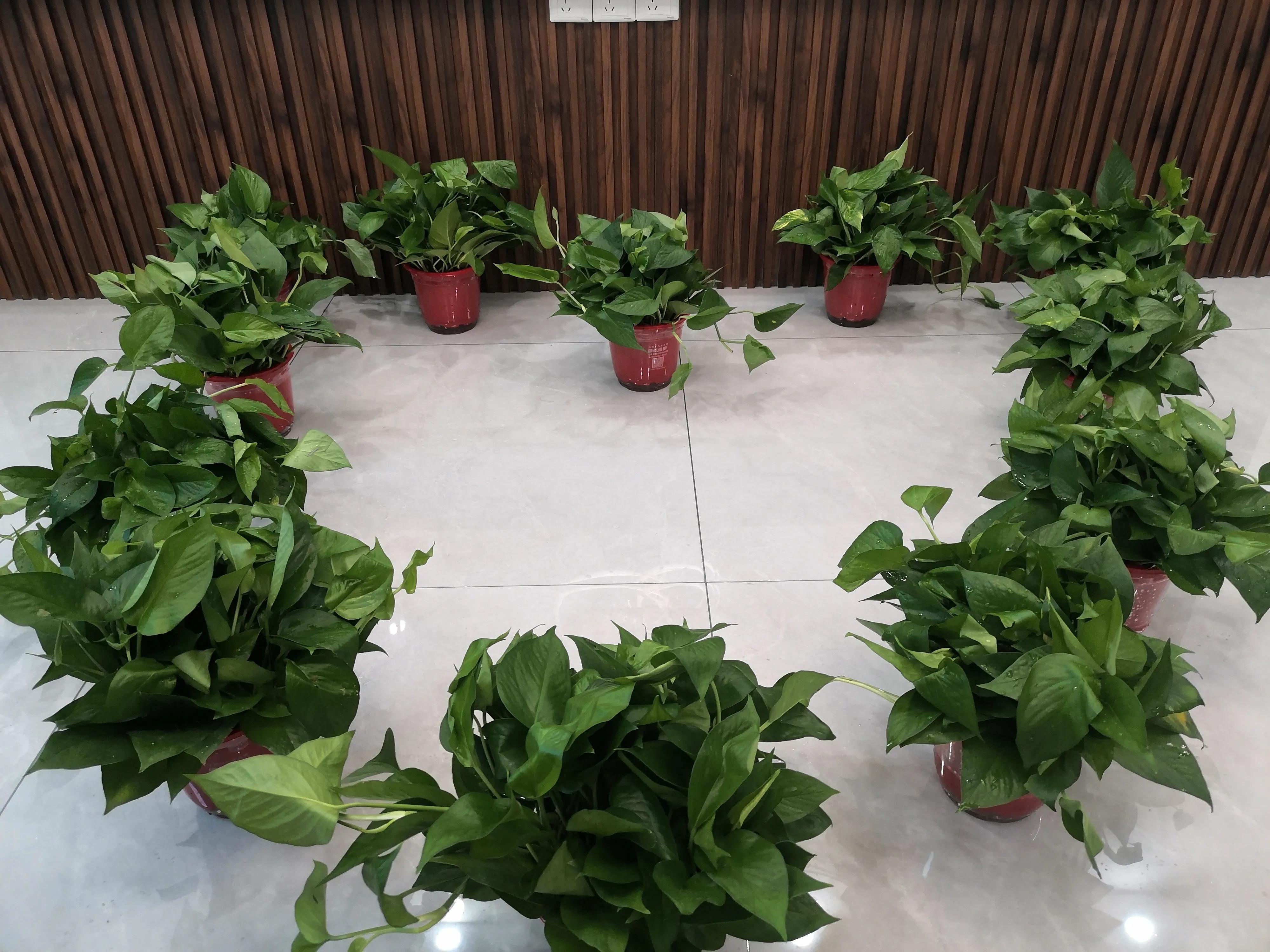 新装修房子开地暖可以除甲醛,新装修房子如何除甲醛