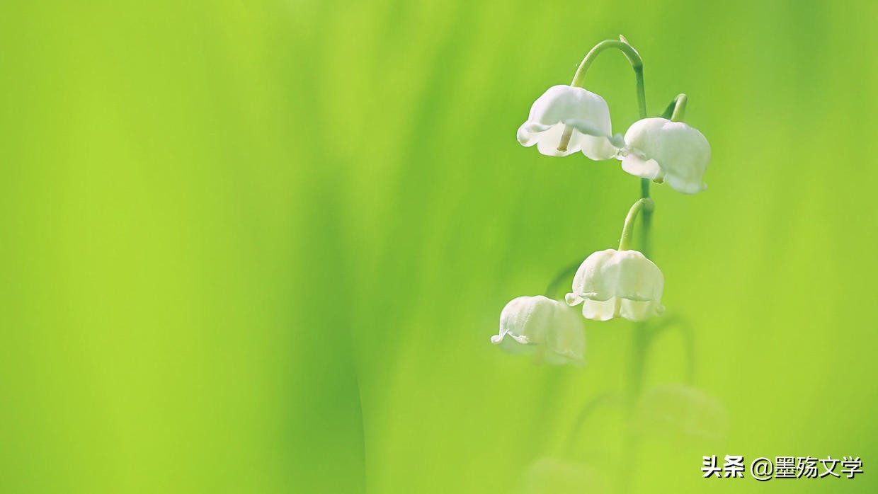 爱的创可贴全集免费观看,爱的创可贴全集