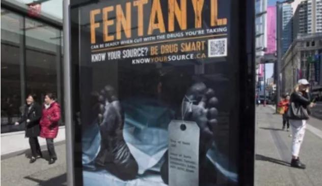 加拿大cerb工资待遇,加拿大福利有多好