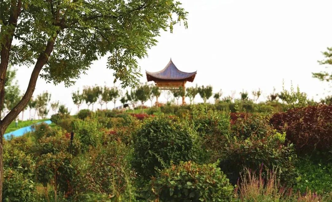 白银市党代会报告全文,白银区第十五届人代会