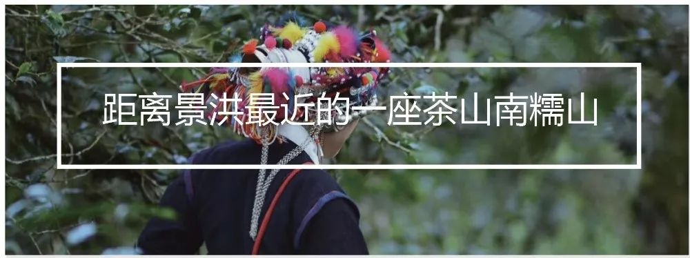 去西双版纳旅居攻略,西双版纳旅居详细攻略