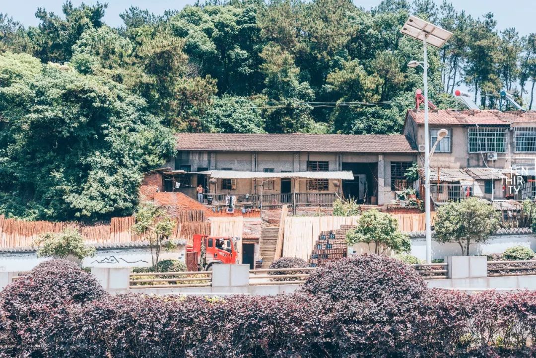 用66张照片回忆2020年,江夏高清图片