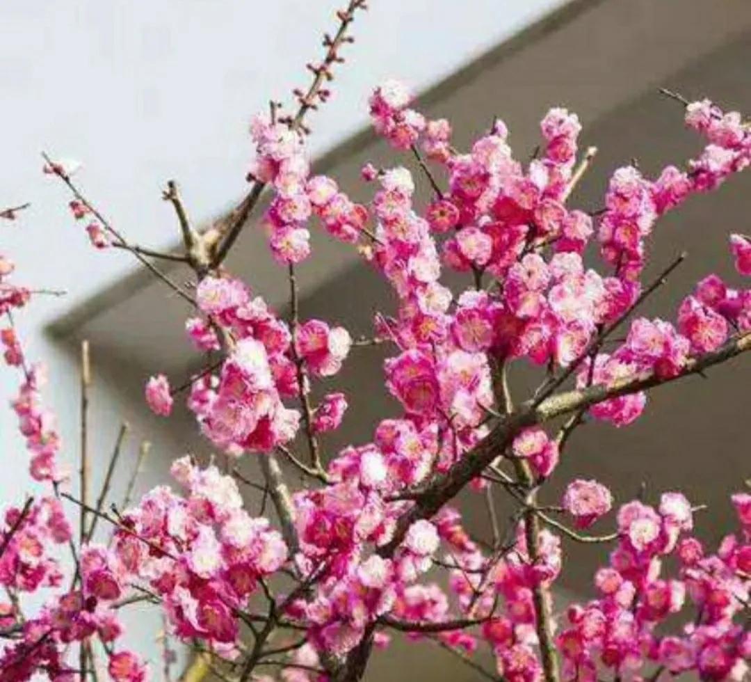 爬山可以减肥还是跑步可以减肥,晚上跑步减肥还是清晨跑步减肥