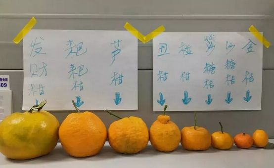 蒲江春见耙耙柑不知火丑柑,春见耙耙柑和耙耙柑有什么区别