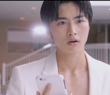 日版和台湾版流星花园,新流星花园在日本反响